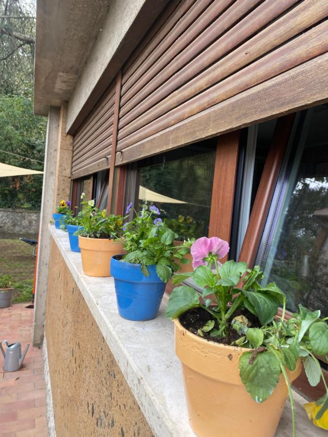 Апартаменты Il Giardinetto Di Elelu' Private Garage Орвието Экстерьер фото